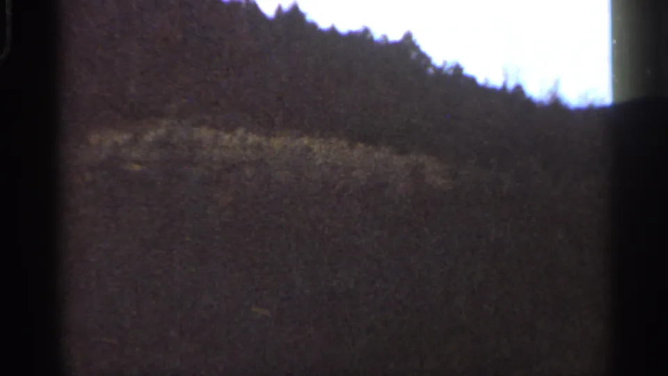 1966 Georgia countryside view with roadside brush, wooded slope, bright sky, and strong 8mm frame shadows.