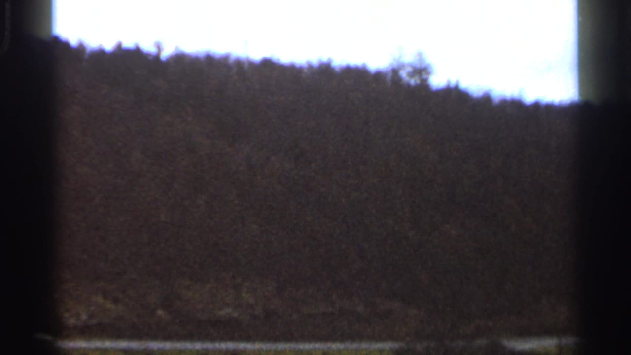 1966 Georgia 8mm frame showing a dark wooded ridgeline beneath an overexposed sky with visible film edge shadows.