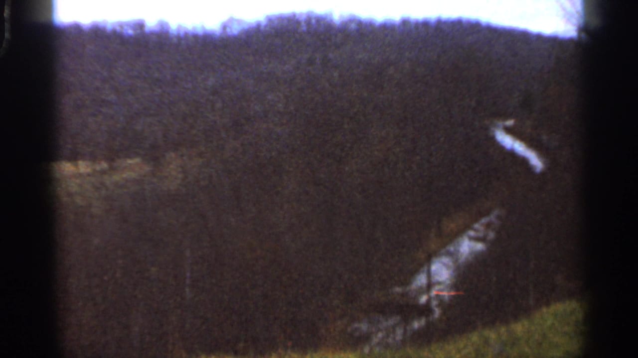 1966 Georgia countryside frame showing a dark forested slope and a pale winding line, possibly a stream or narrow road, near the lower valley.