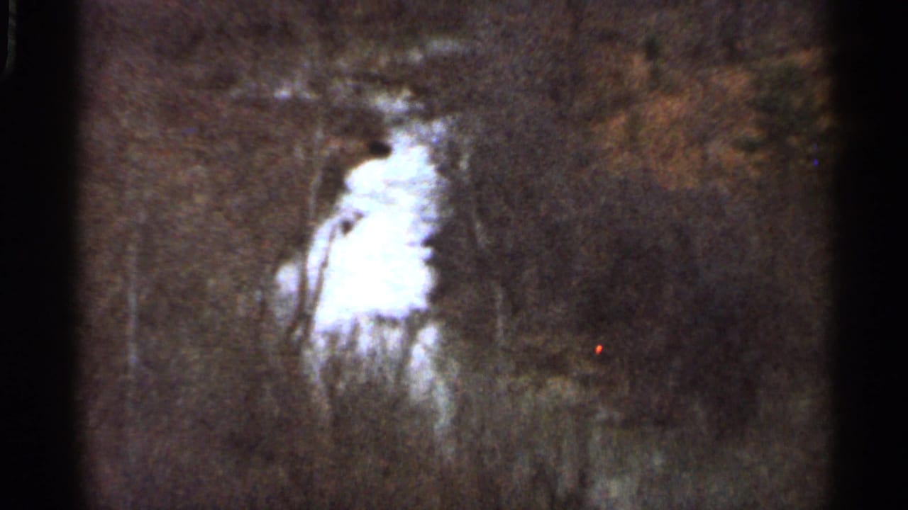 1966 Georgia 8mm frame with brush, dark woods, and a bright irregular stream or path crossing the lower landscape.