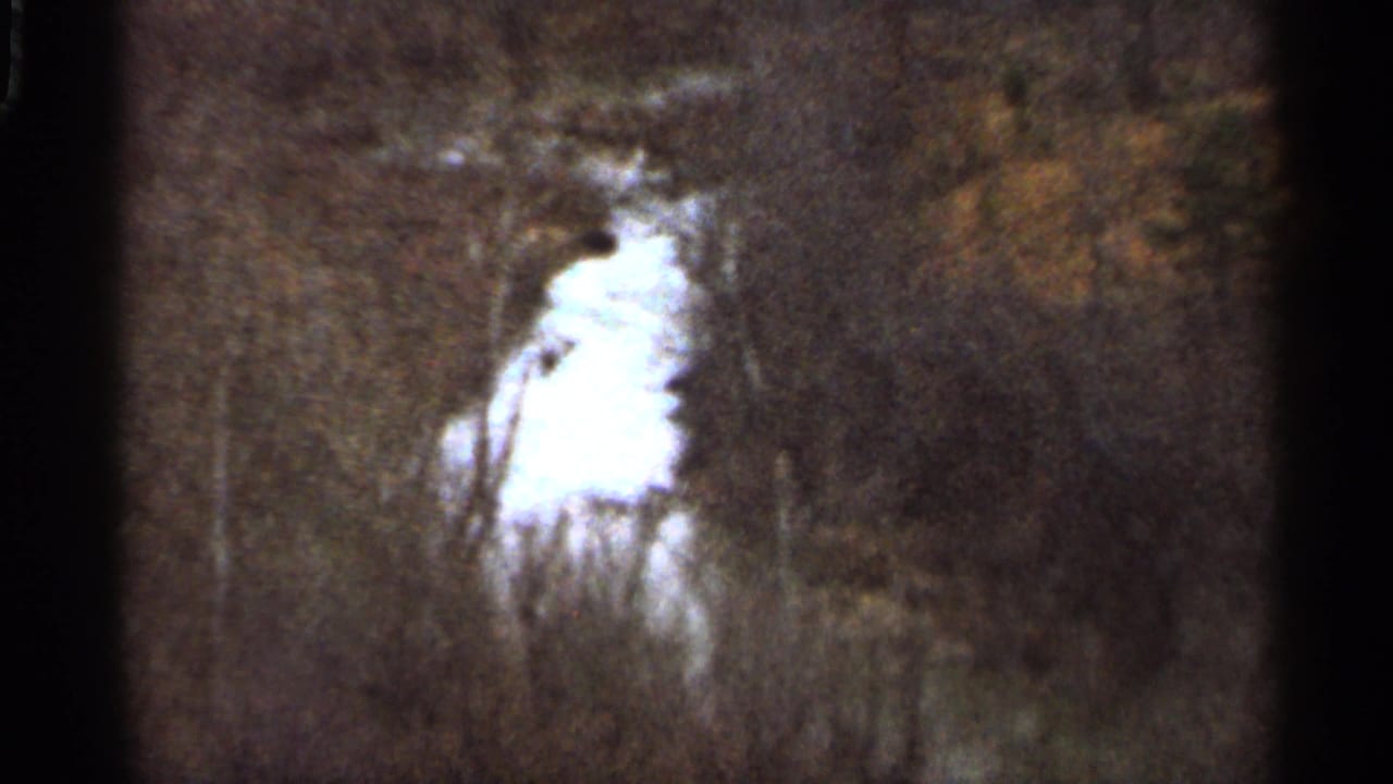 Bright fire or smoke glow seen through dark trees on a wooded slope.