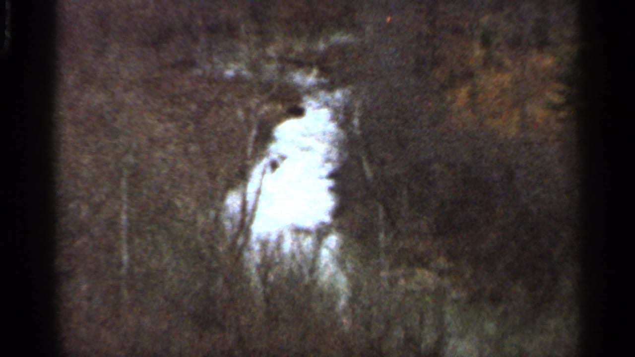 1966 Georgia home-movie frame with a bright fire glow partly obscured by trees and smoke in the woods.