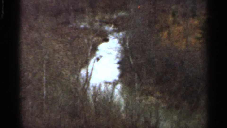 1966 Georgia home-movie frame with a bright fire glow partly obscured by trees and smoke in the woods.