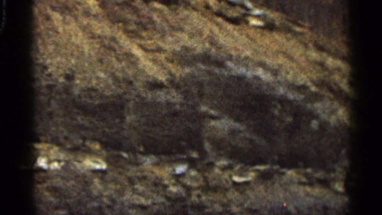 Close 8mm view of scorched mountain ground in Georgia, with ash, stones, brush, and dark burned earth visible.