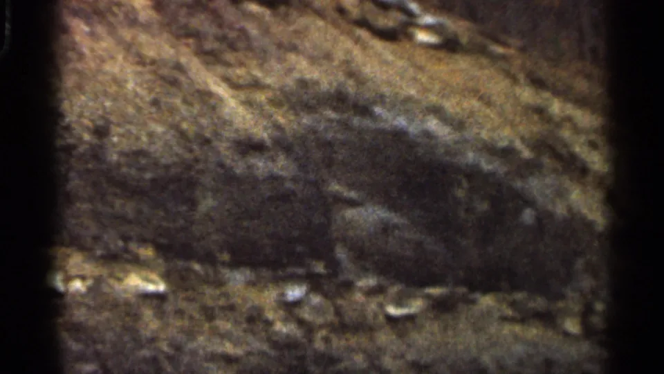 A 1966 8mm home-movie frame in Georgia appears to show a rocky or earthen embankment before the roadside restaurant sign appears.