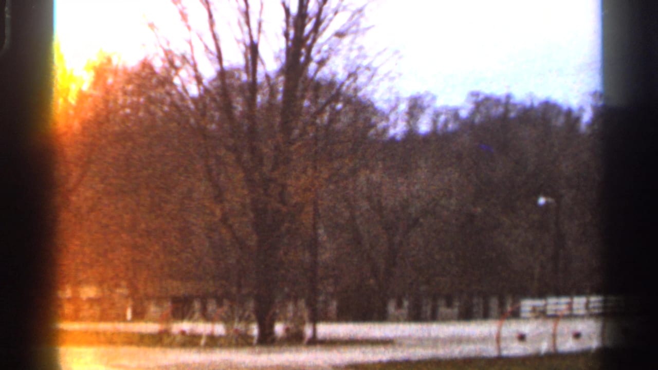 Bare trees and a distant fence line seen through warm film flare.