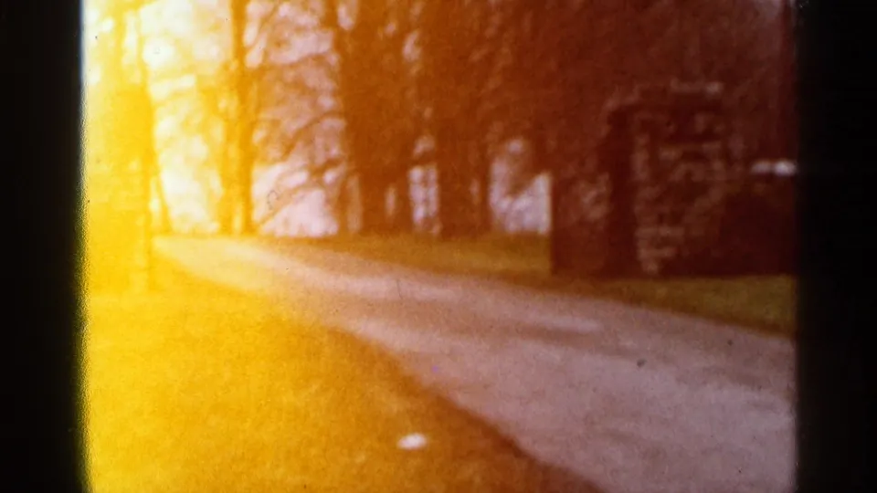 1966 Georgia 8mm frame showing a rural road, grassy edge, leafless trees, and intense yellow-orange light leak.