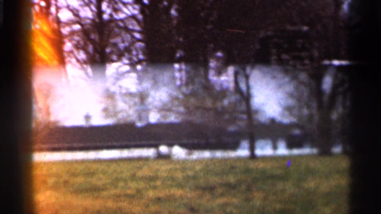 Soft 8mm view of grass, bare trees, water, and a distant low structure.