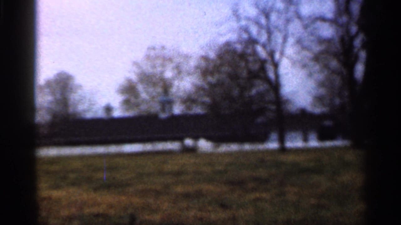 Open grass and bare trees beside water with a distant dark roofline.
