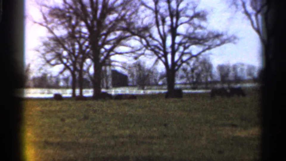 1966 Georgia home-movie frame with several leafless trees in a grassy area, water in the background, and small distant structures or posts.