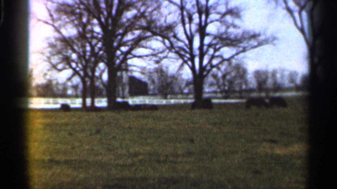 Grassy field with bare trees, a white fence, and a dark distant building under a pale sky.