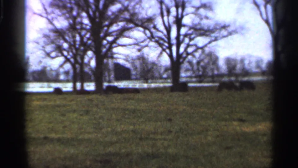 1966 Georgia home-movie view of pasture, bare trees, white fencing, and a distant low structure in soft focus.