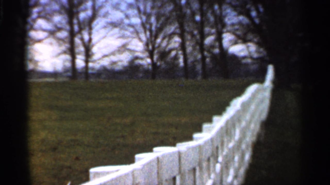White fence running across a grassy hillside with bare trees in the background.