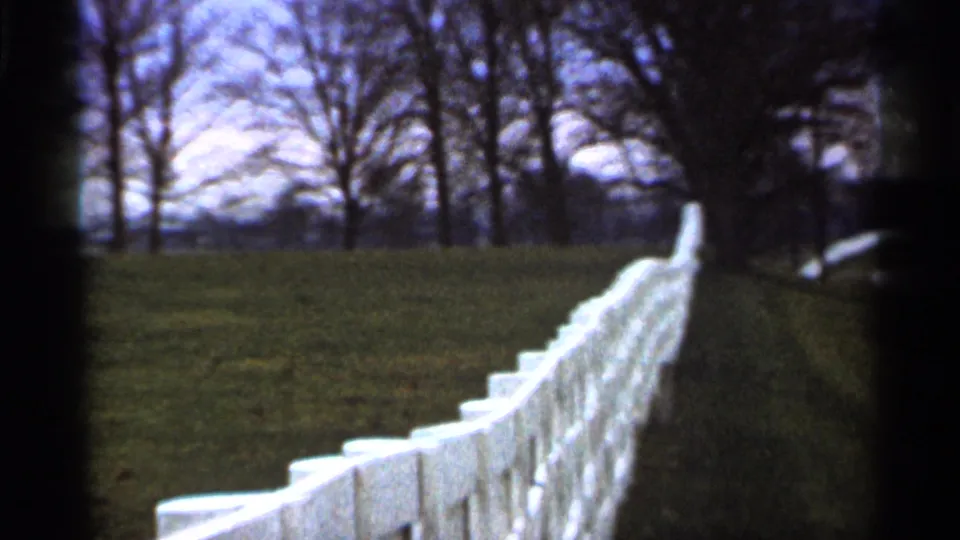 A handheld 8mm view of the fence and hillside, with a dark tree trunk partly framing the right side.