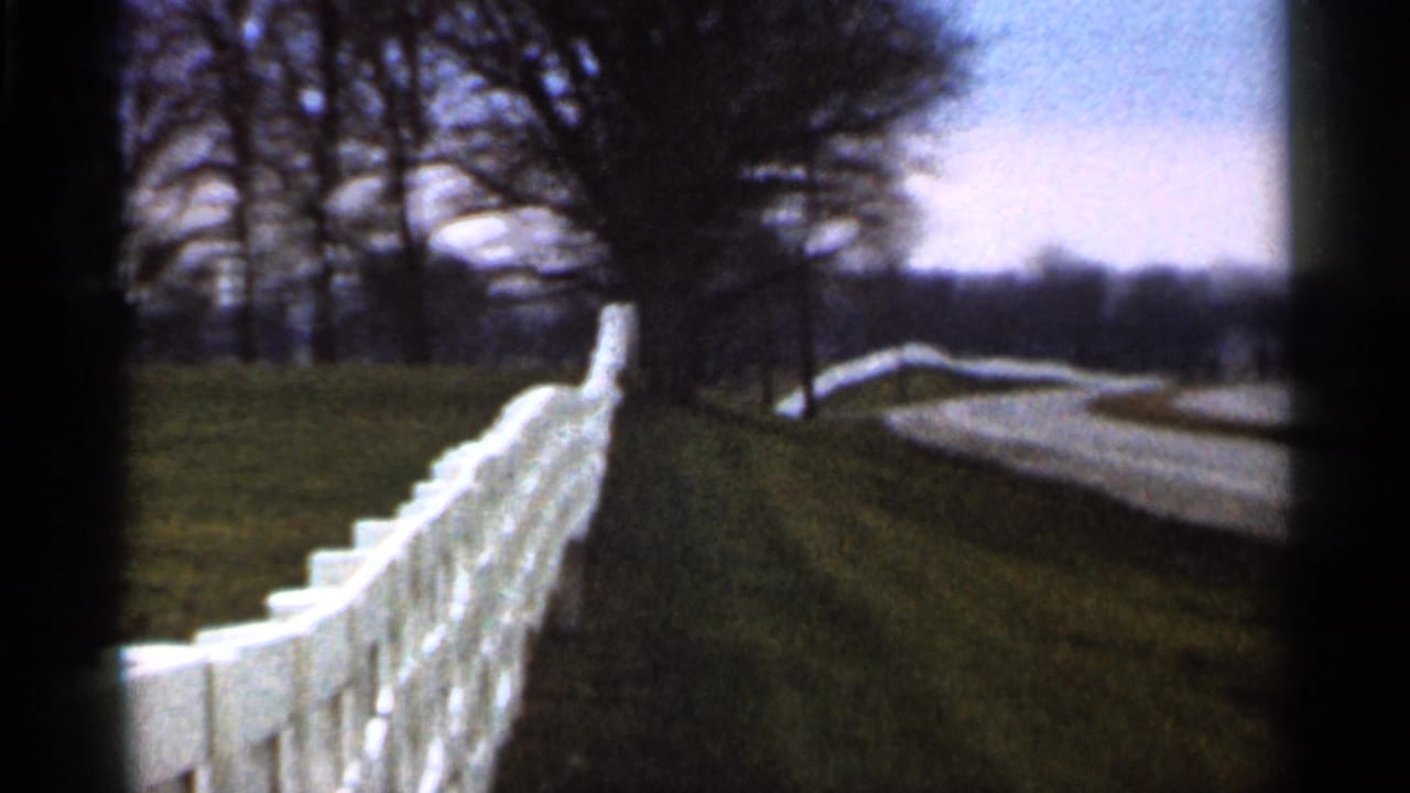 White fence running beside green grass with trees and a curving path beyond.