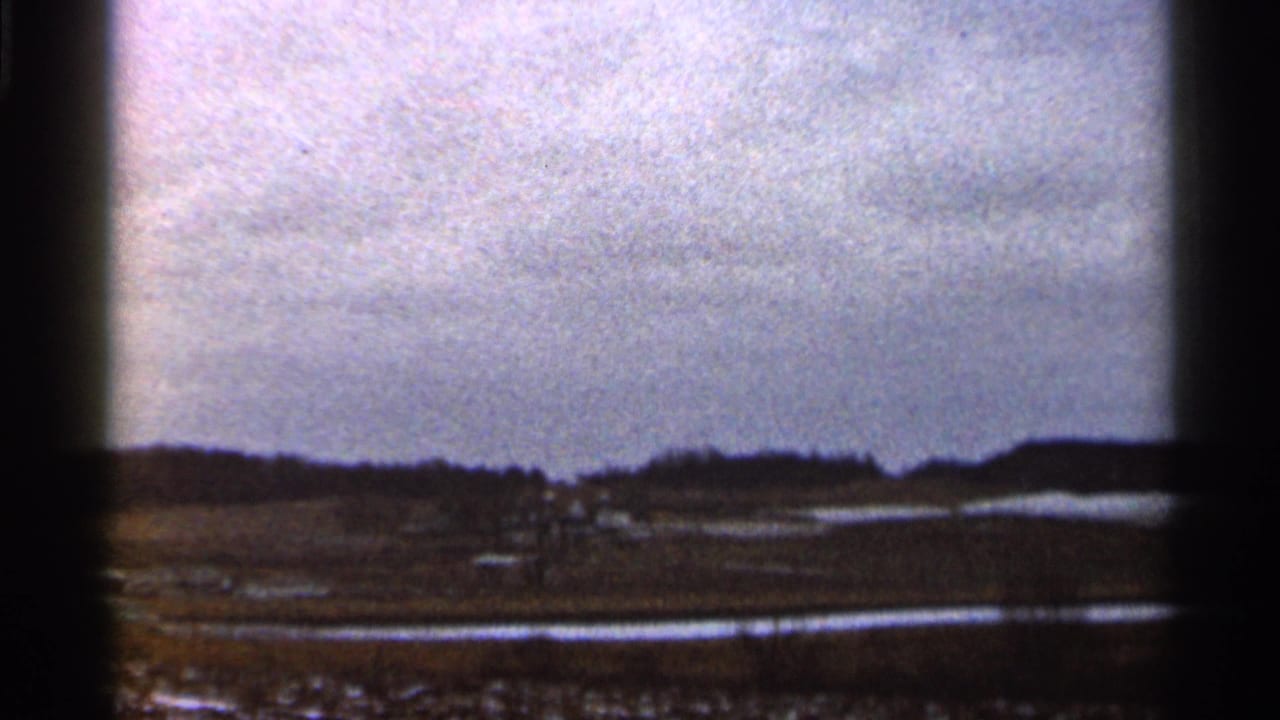 Overcast rural field with distant tree line and reflective ground seen through dark film borders.
