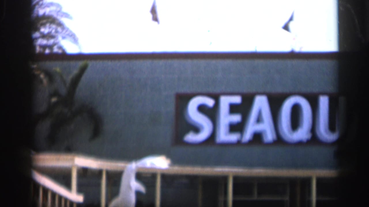 Close view of a blue building facade with partial SEAQUARIUM lettering and flagpoles above.