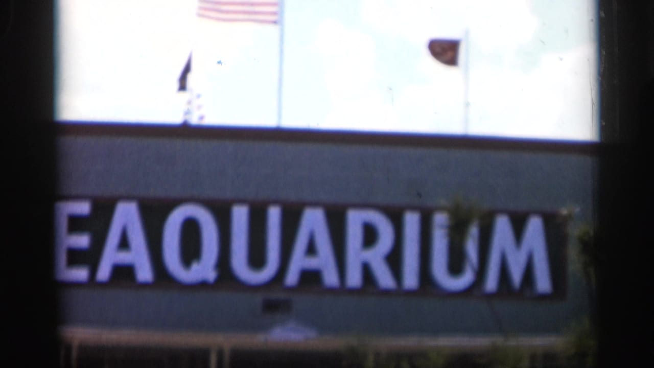 Close 1958 Alabama view of SEAQUARIUM lettering across a blue exterior wall, with flags and bright sky above.