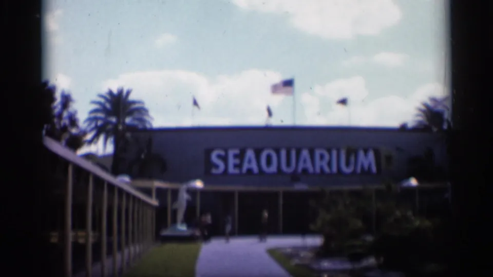 1958 Alabama home-movie frame of the Seaquarium exterior, showing the sign, walkway, palms, flags, and tiny visitors near the entrance.