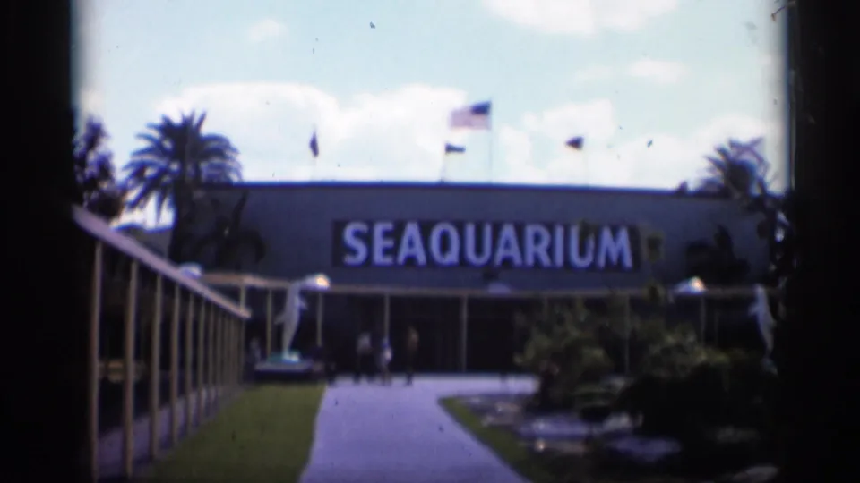Wide 1958 Alabama 8mm view of the Seaquarium facade, entrance walkway, flagpoles, palm trees, and small visitors outside.