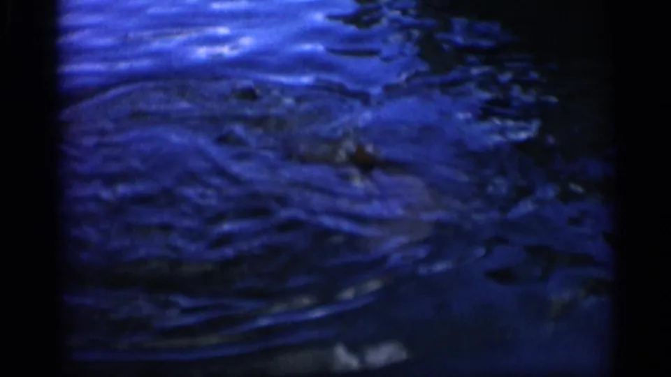A broad fish-like shape is partly visible below dark rippled water in the 1958 Alabama 8mm clip.