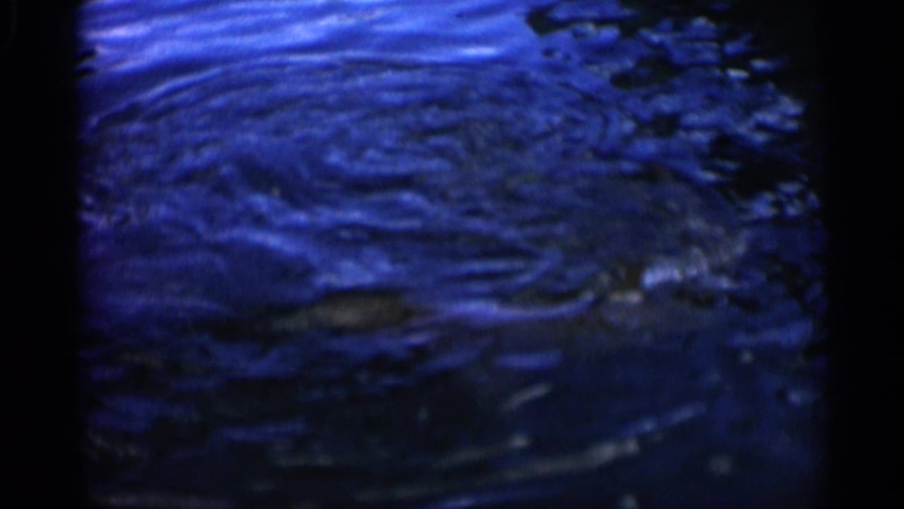 1958 Alabama 8mm frame showing rippled dark blue water with a large fish shape faintly visible beneath the surface.