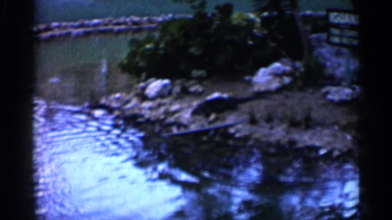 1958 Alabama 8mm frame showing a rocky riverbank beside blue water, with shrubs and an indistinct sign-like object at the right edge.