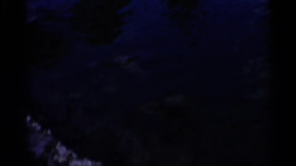 Dark 1958 Alabama zoo-pond frame with faint water texture, rocks, and heavy blue-shadow exposure from the 8mm scan.
