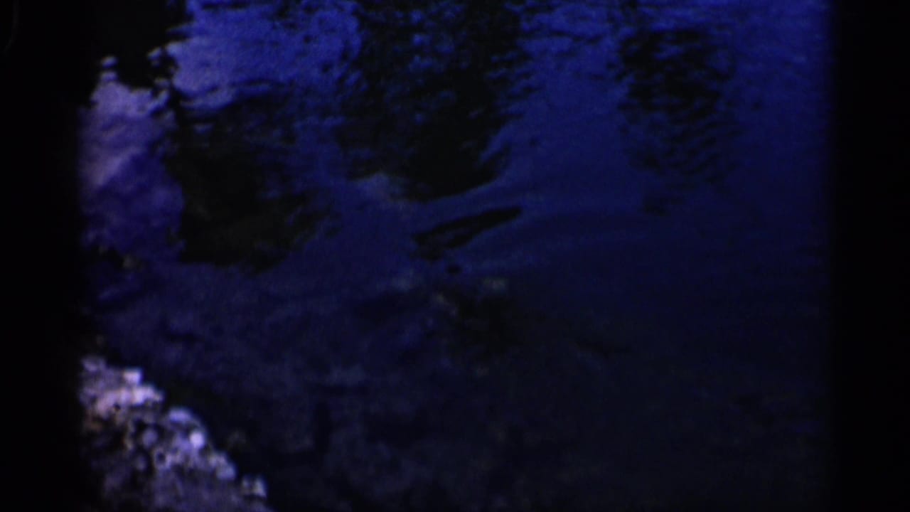 Dark blue water surface with shadowy underwater forms and ripples.