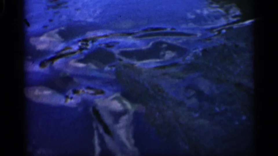 A small school of grey fish is visible beneath bright blue rippled water in the 1958 Alabama footage.