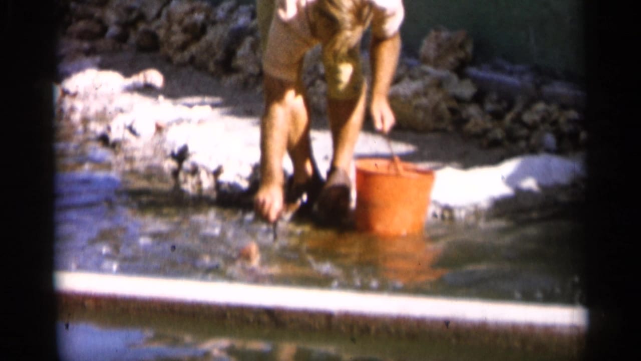 A woman in light clothing crouches at the water's edge beside a red-orange bucket in Alabama footage from 1958.
