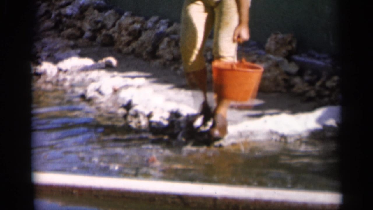 A woman walks through shallow water holding a red-orange bucket, with rocks and a bright bank behind her.