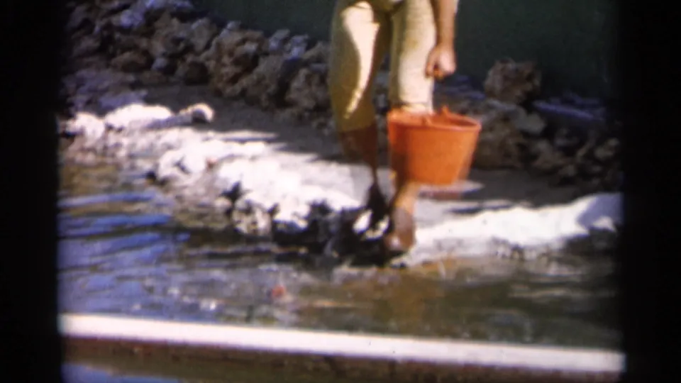 A woman walks through shallow water holding a red-orange bucket, with rocks and a bright bank behind her.