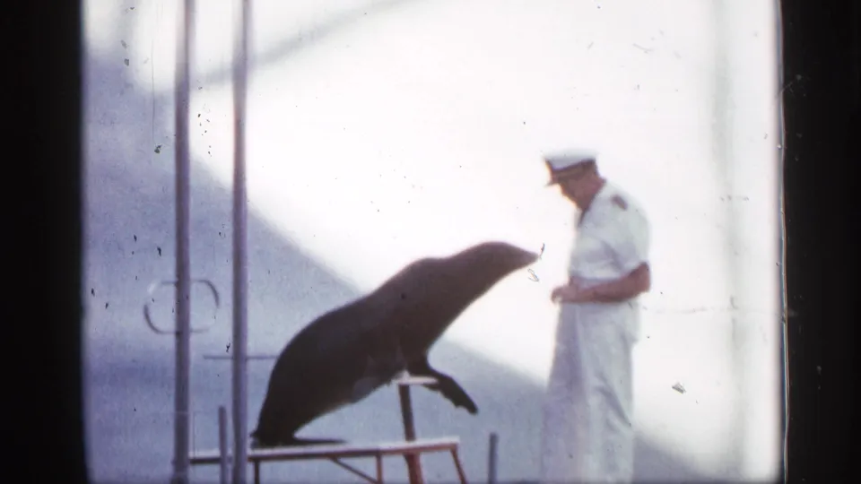 1958 Alabama 8mm frame showing a white-uniformed man beside a sea lion posed on a low platform.