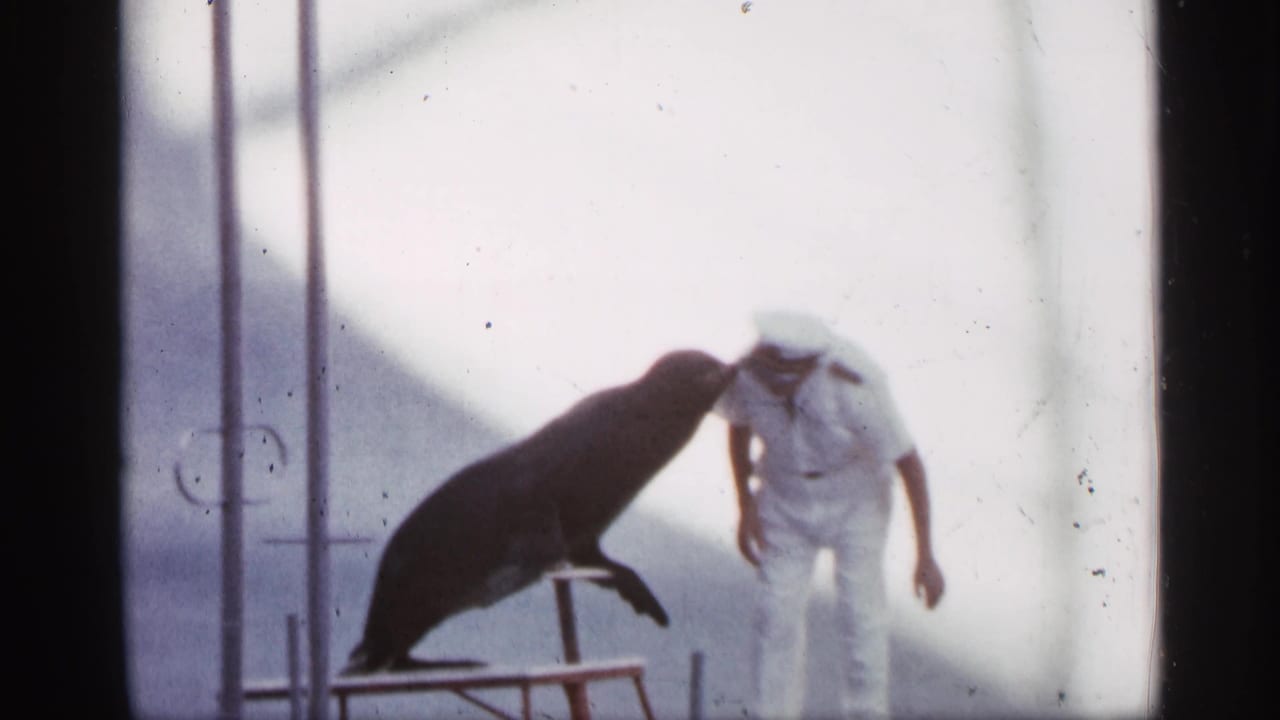 In Alabama 1958 home-movie footage, a trained sea lion on a platform leans toward a man in a white naval-style uniform.