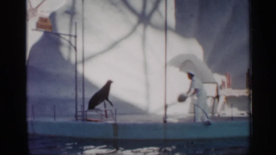 1958 Alabama 8mm frame showing the trainer presenting a ball toward a sea lion during the performance.