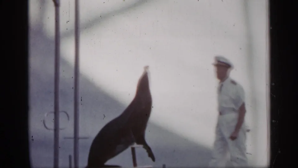 1958 Alabama 8mm frame showing a sea lion posed on a low stand with a white-uniformed trainer standing to the side.