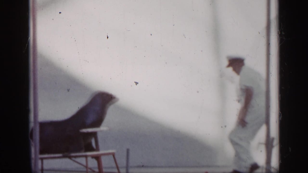 1958 Alabama home-movie frame showing a sea lion on a small platform as a white-uniformed handler stands nearby in daylight.