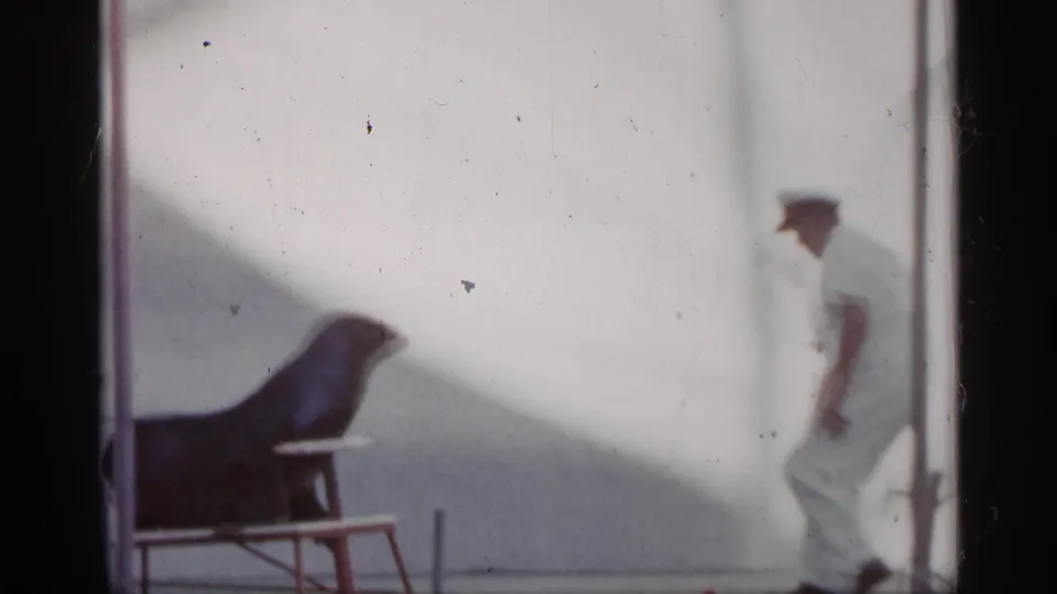 1958 Alabama home-movie frame showing a sea lion on a small platform as a white-uniformed handler stands nearby in daylight.