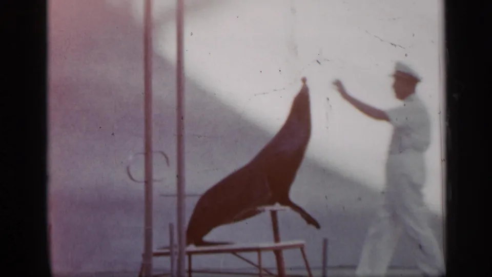 1958 Alabama home-movie frame showing a sea lion upright on a platform while the uniformed handler raises one arm beside it.