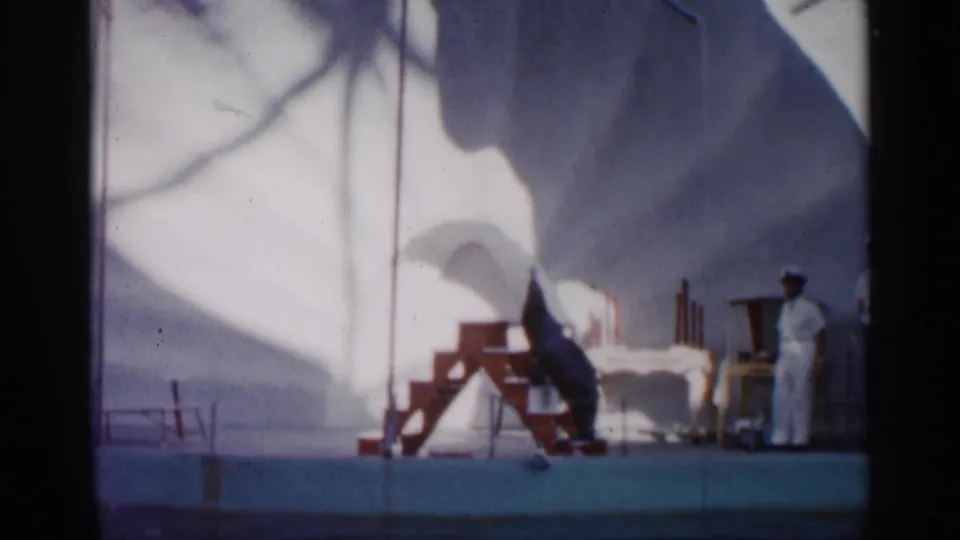 Wide 1958 Alabama home-movie view of a sea lion act under large shade, with a uniformed handler, platform steps, and performance props.