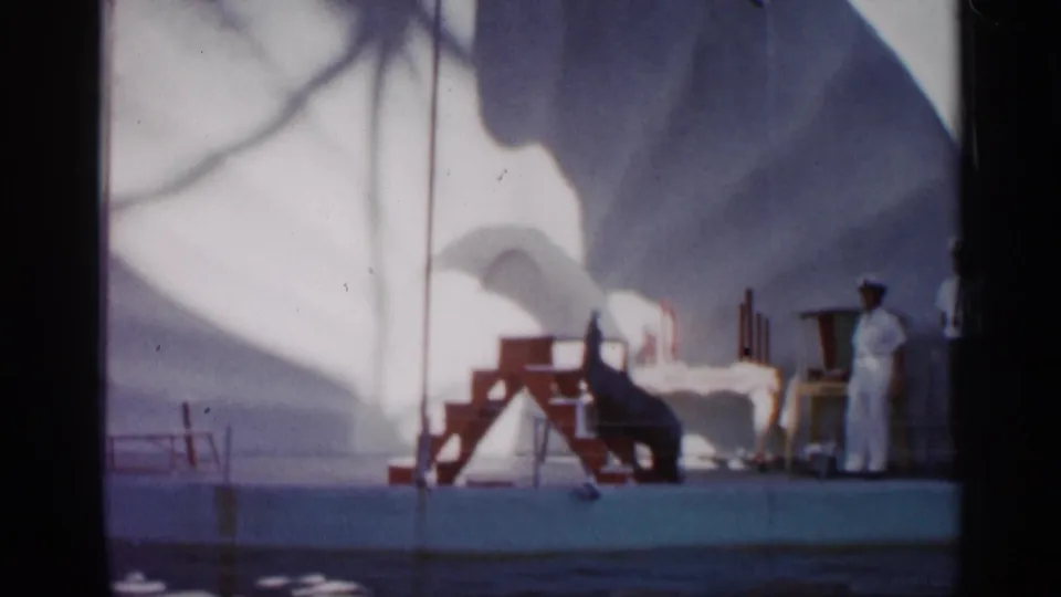 1958 Alabama home-movie frame of a sea lion or seal performing near red stairs beside a pool while handlers stand nearby.