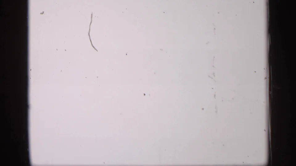 Overexposed 8mm frame with little scene detail visible, showing film dust, scratches, and black gate borders.