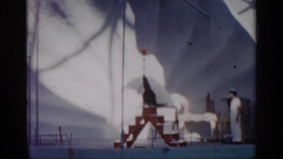 A trained seal appears beside red-and-white circus stairs under a backdrop, with a white-clad trainer visible in the Alabama home movie frame.