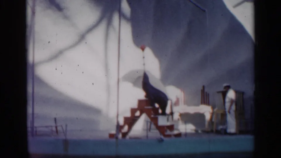 The final 1958 Alabama frame shows the seal balancing the red ball on its nose beside the stairs, with the trainer standing at right.