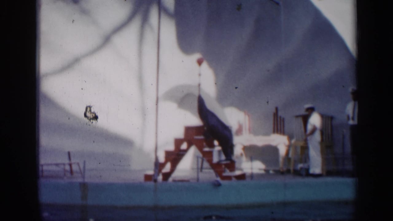 1958 Alabama-labeled 8mm frame showing a sea lion on red A-frame steps as uniformed men observe on a deck under canopy shadow.