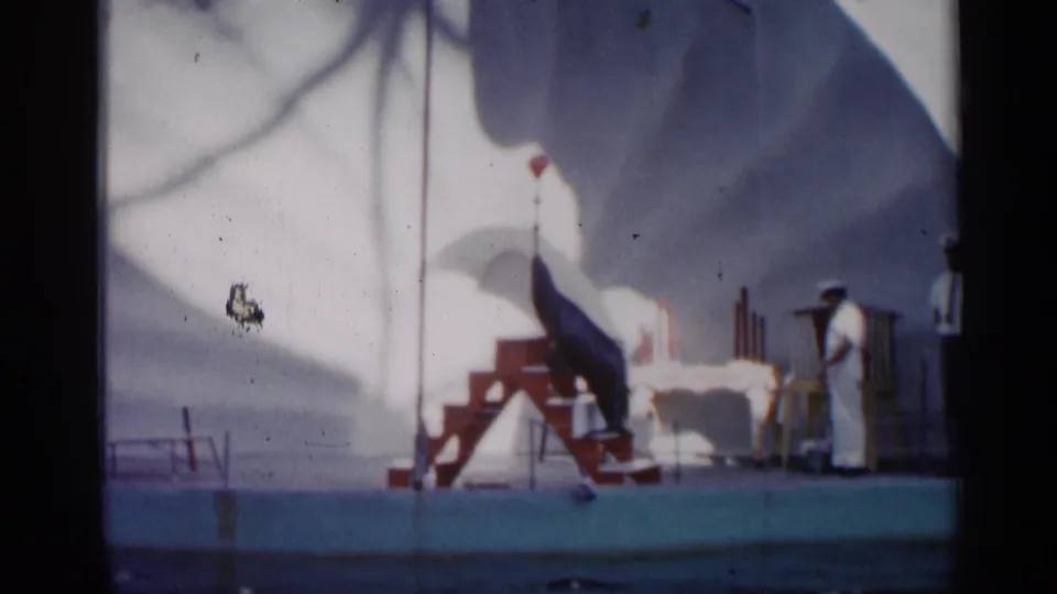 1958 Alabama-labeled 8mm frame showing a sea lion on red A-frame steps as uniformed men observe on a deck under canopy shadow.