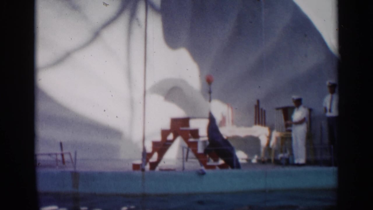 1958 Alabama-labeled 8mm frame of a sea lion performance beside red steps, with uniformed men watching from the ship or waterfront deck.