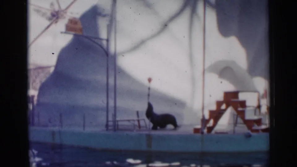 1958 Alabama-labeled 8mm frame showing the sea lion seated on the deck near red performance steps, with canopy shadows and water below.