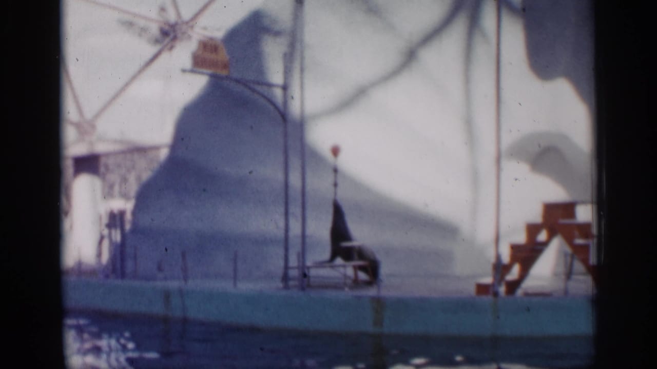 1958 Alabama 8mm frame showing a sea lion balancing a red ball beside a pool in a zoo or aquarium performance setting.